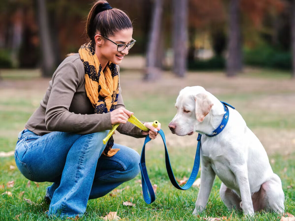 The Facts Why You Should Scoop Your Dog's Poop